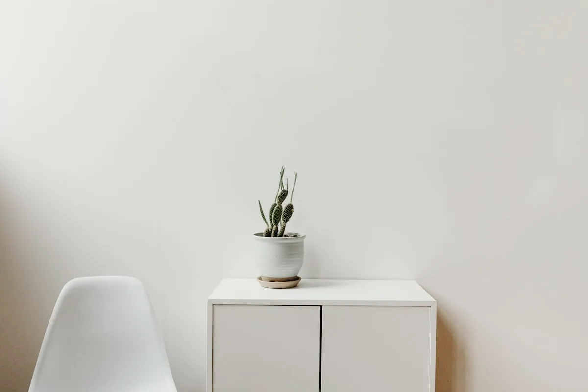 FerquessiapureStudio residential design project 4