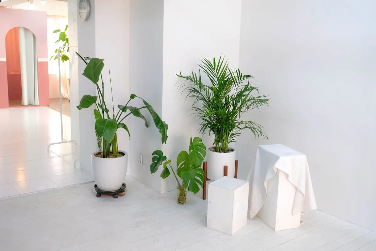 Minimalist home décor and furniture detail 3