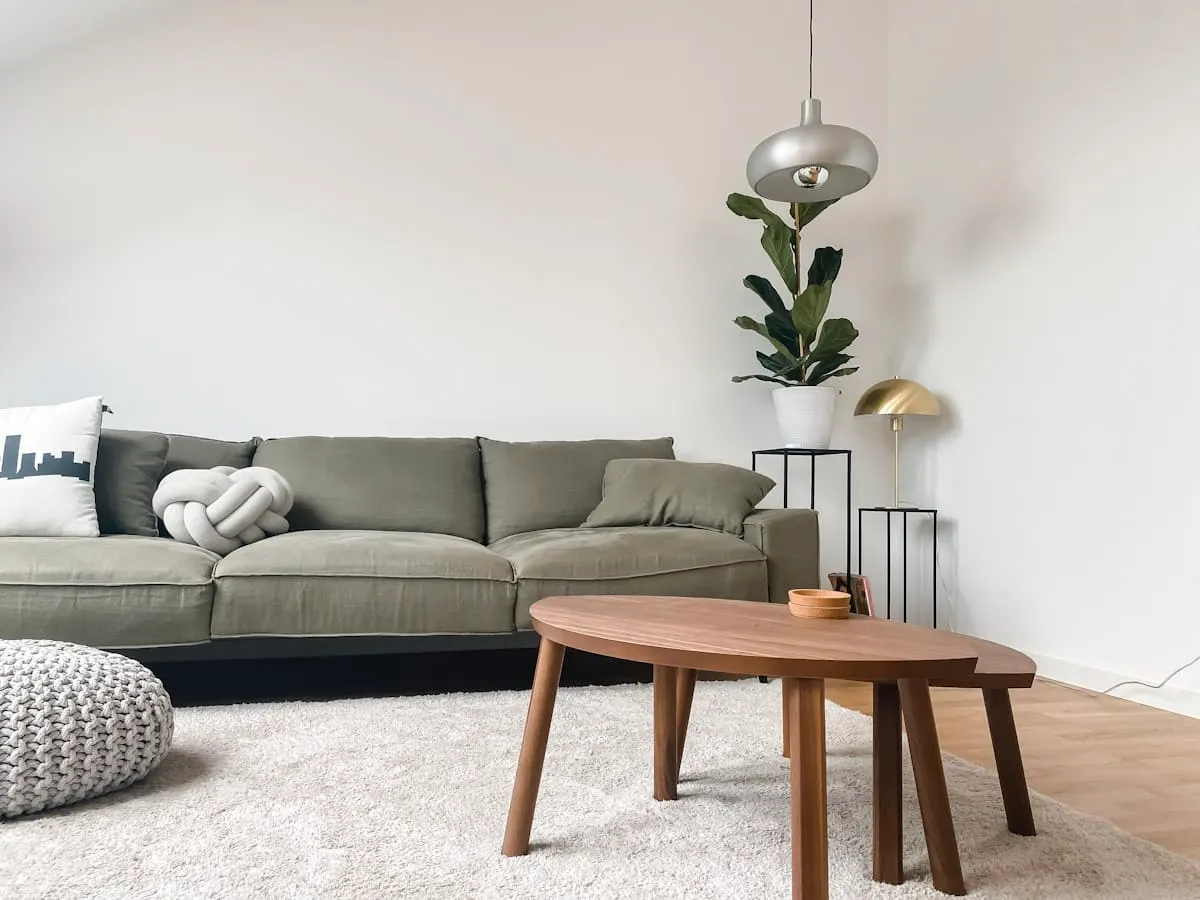 FerquessiapureStudio residential design project 1